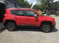 Jeep Renegade – Copy